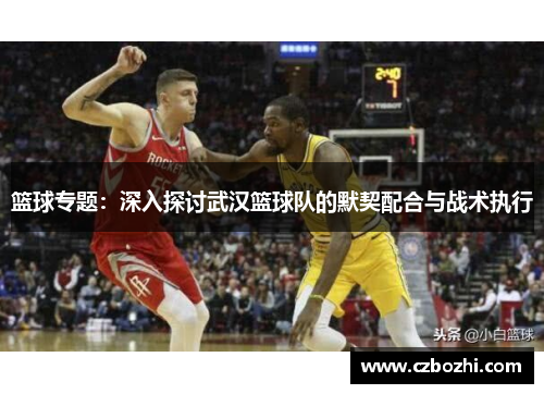 篮球专题：深入探讨武汉篮球队的默契配合与战术执行