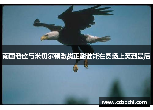 南国老鹰与米切尔顿激战正酣谁能在赛场上笑到最后